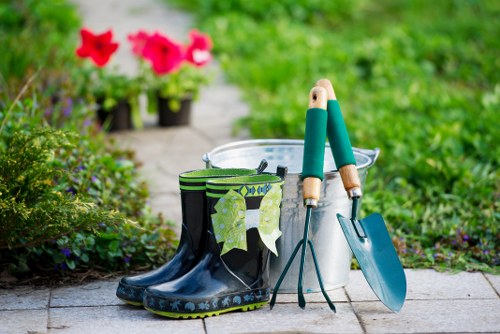 Autumn lawn care with leaf clearing and turf treatment in Norbiton