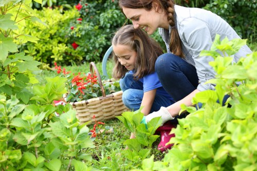 Professional gardeners in Norbiton improving a seasonal flower bed