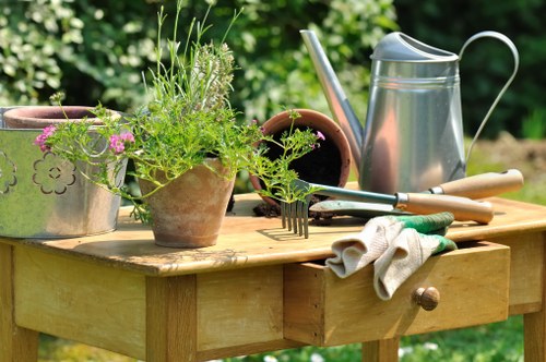 Safe and professional gardeners in Norbiton carrying out outdoor work