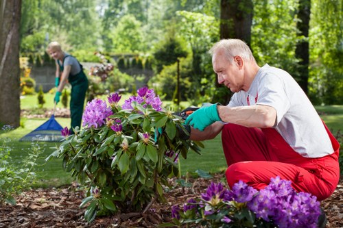 Public liability insurance and safety protection for Norbiton gardening work