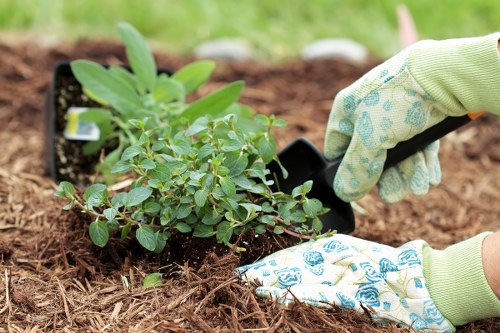 Garden clearance pricing near a busy Norbiton street