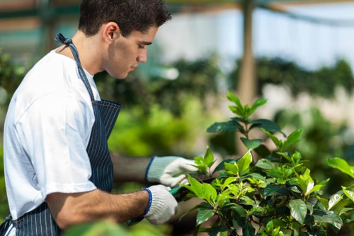Recycling-focused gardening service supporting sustainability in Norbiton