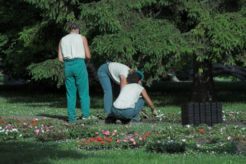 Seasonal lawn maintenance work in a Norbiton garden