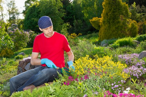 Weed control and hedge trimming in a well-kept Norbiton garden