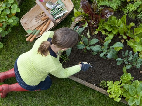 Low-carbon van used for sustainable garden services in Norbiton