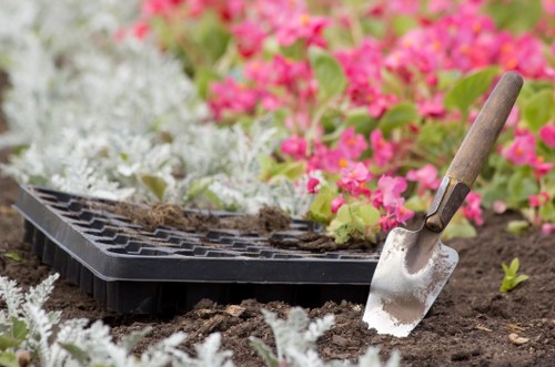 Norbiton garden maintenance with trimmed borders and healthy lawn