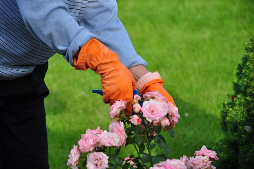 Protective equipment and careful work practices in garden maintenance