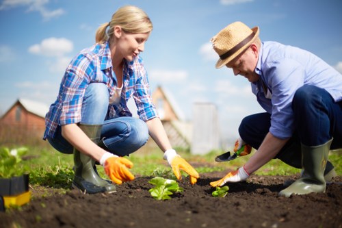 Norbiton gardening support for tidy paths, borders, and lawn care