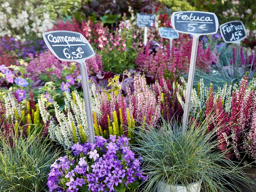 Compare Norbiton gardening quotes avoid common pricing mistakes